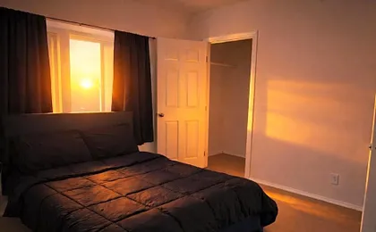 Hollywood Comfort Vibe LA