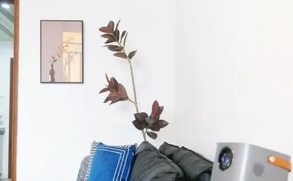 Xizu Guesthouse