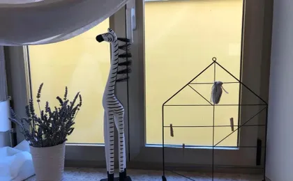 Apartment Check in