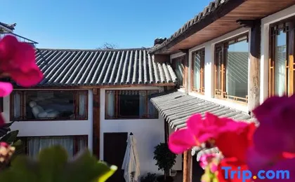 Lijiang Hanshe Qingyou Xiaozhu (Wuyi Street Branch, Old Town)