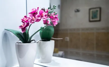 Split Lovret Apartment