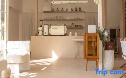 DOMO Villa