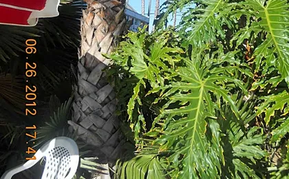 Tradewinds Airport Hotel