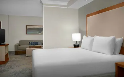 SpringHill Suites by Marriott Lynchburg Airport/University Area