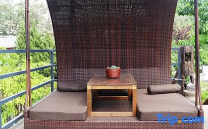 story in lijiang