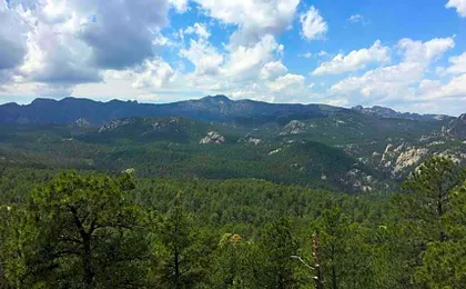 Magnuson Grand Rushmore View
