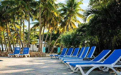 Palms Resort and Beach
