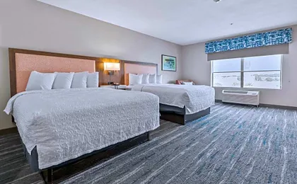 Hampton Inn & Suites Selma-San Antonio-Randolph AFB Texas