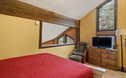 Ski Access SS7B Retreat Pet Friendly