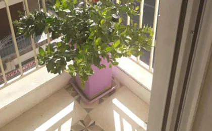 Αnna's Home 2 .Holidays in Beautiful Athens