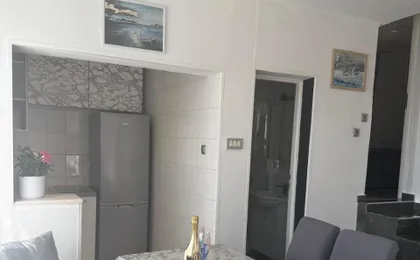 Apartment Ana Lozica with Terrace