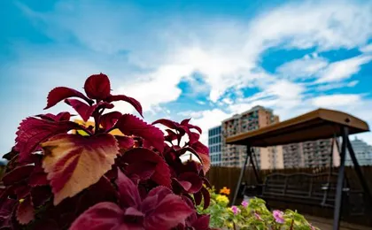 Summer Solstice Book Fragrance Hotel (Shanghai Fudan University Branch)