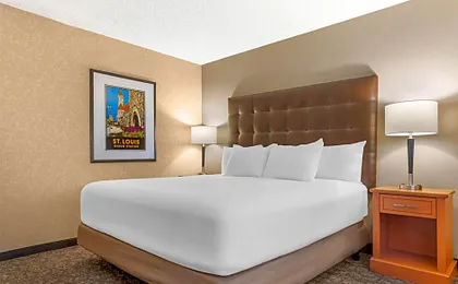 Drury Plaza Hotel St. Louis Union Station