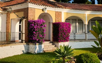 AluaSun Marbella Park