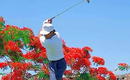 Raintree's Cimarron Golf Resort Palm Springs
