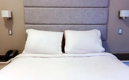 Da Vinci Hotel