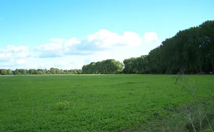 2-Zimmerwohnung