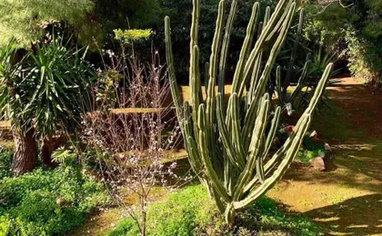 Athens Riviera Garden Views Apartment #Unoblu