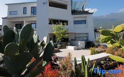 Dali Xunshan Homestay