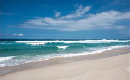 Flat Barra First