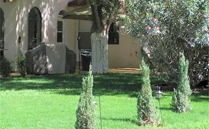 Tavares Inn