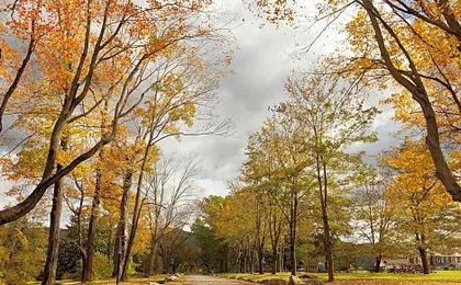 Eastover Estate and Eco Village