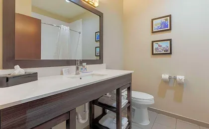 Comfort Inn & Suites Balch Springs - SE Dallas