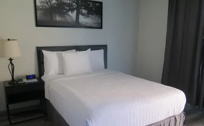 Dtla Hotel