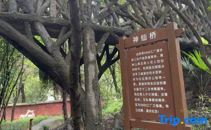 Kaishang Hotel (Wuhan Jiangxia Gymnasium)