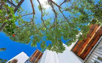 Arminda Hotel & Spa