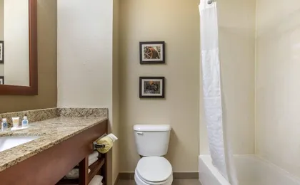 Comfort Suites Johnson City