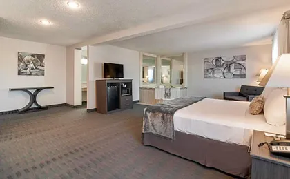 American Inn & Suites Metro Airport