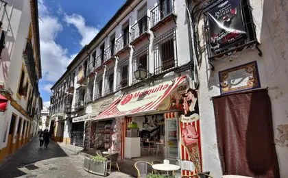 Rosas en la Balconada & Apartment with Parking in Córdoba Historic Center