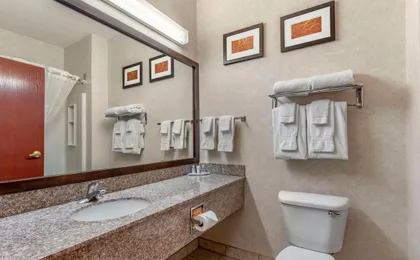Comfort Suites Castle Rock
