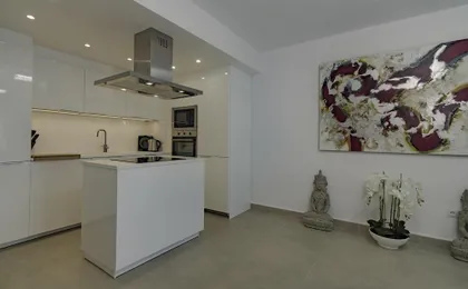 Fantastic Apartment Near Puerto Banus