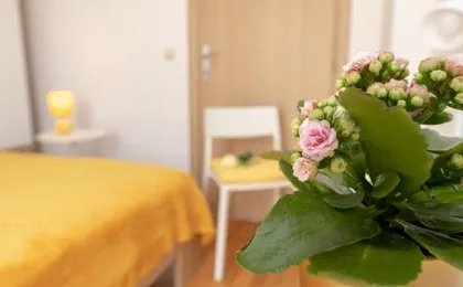 Apartment Nik - Cosy and Stylish