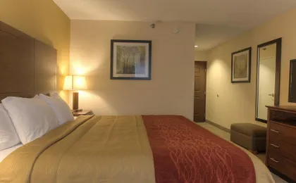 Comfort Inn & Suites Santee I-95