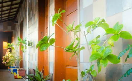 Pousada E Hostel Chez Marianne (Adults only)