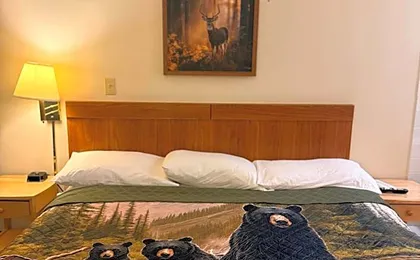 Ozark Valley Inn