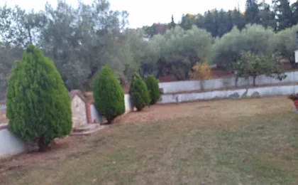 Elaiones House