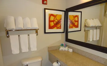Holiday Inn Express Hotel & Suites Columbus Southeast