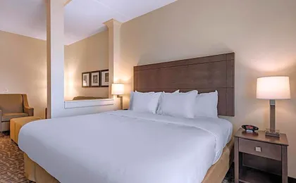Comfort Inn & Suites Pittsburgh-Northshore
