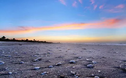 Sanibel Inn