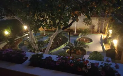 Penthouse Oasis