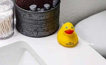 Lazy Duck Inn