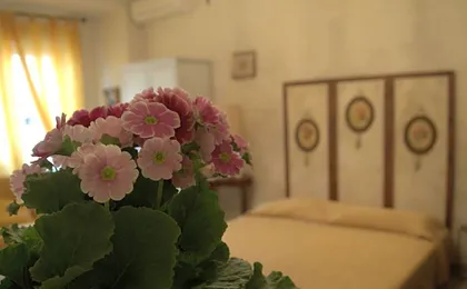 B&B All'Ombra di San Pietro