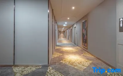 Vienna Classic Hotel (Hangzhou Banshan Shiqiao)