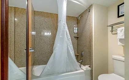 Comfort Inn Kissimmee-Lake Buena Vista South