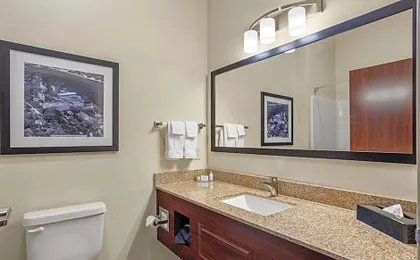 Cobblestone Hotel & Suites - De Pere