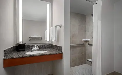 Hilton Garden Inn Denver Downtown